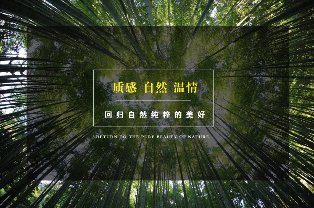 有一種愛，叫置身自然